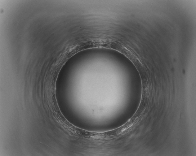 X0000085060961200703121521