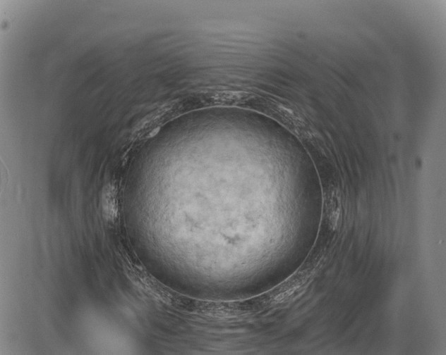 X0000085060962200703121521