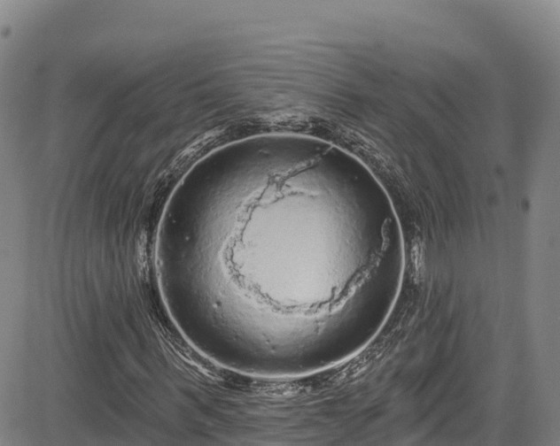 X0000085060963200703121521