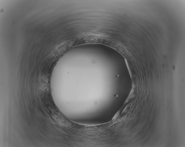 X0000085060964200703121521