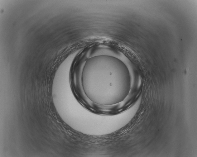 X0000085060965200703121521