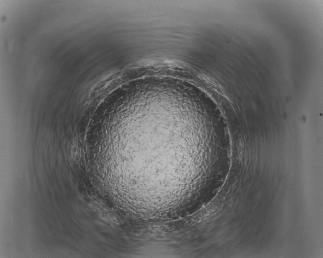 X0000085060966200703121521