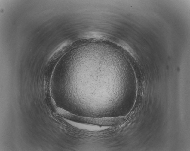 X0000085060967200703121521