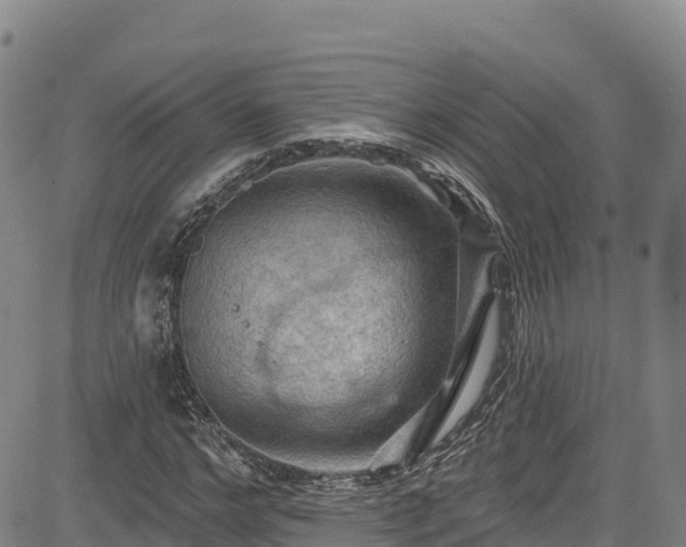 X0000085060968200703121521