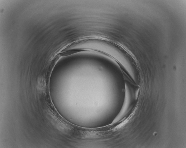 X0000085060969200703121521