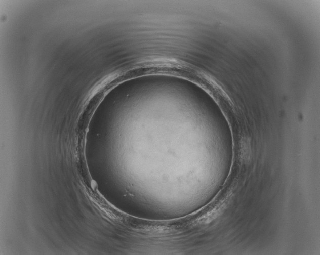 X0000085060970200703121521