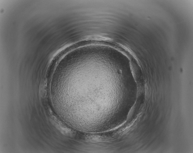 X0000085060971200703121521