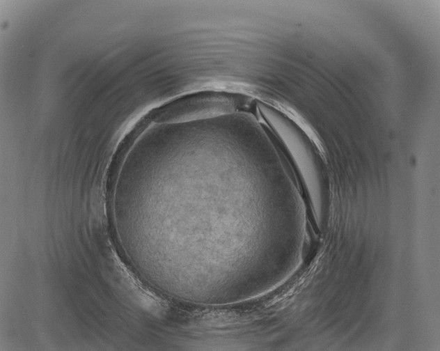 X0000085060972200703121521