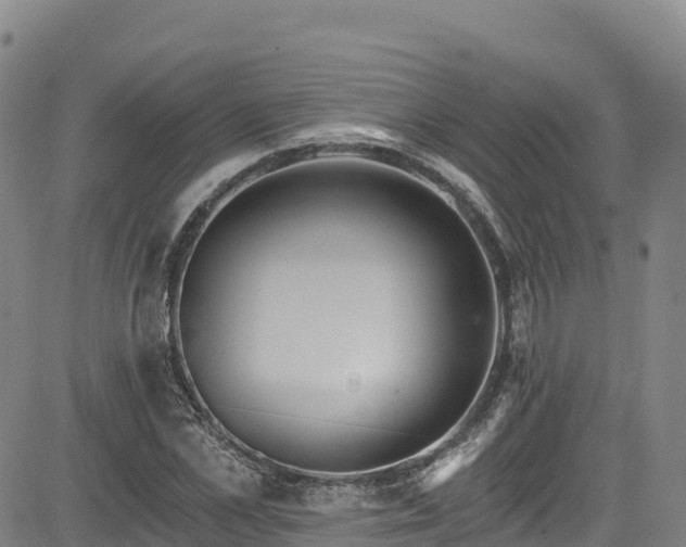 X0000085060973200703121521