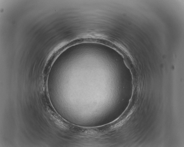 X0000085060974200703121521