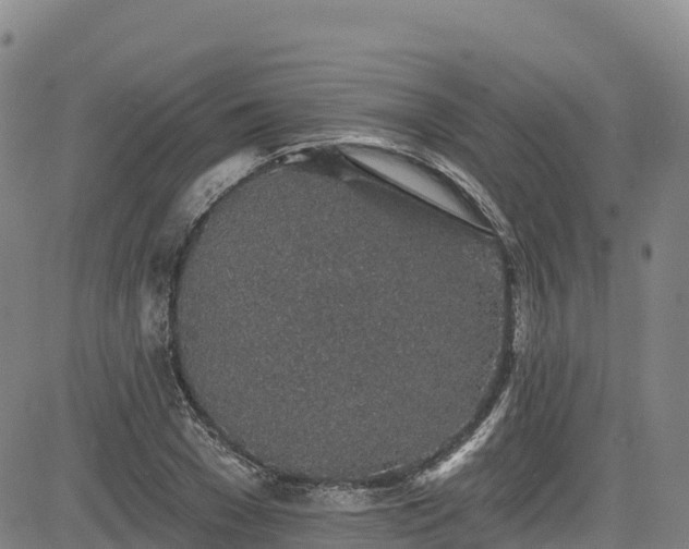 X0000085060977200703121520