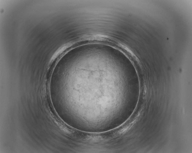 X0000085060978200703121520