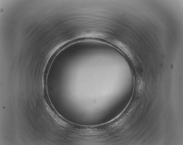 X0000085060980200703121520