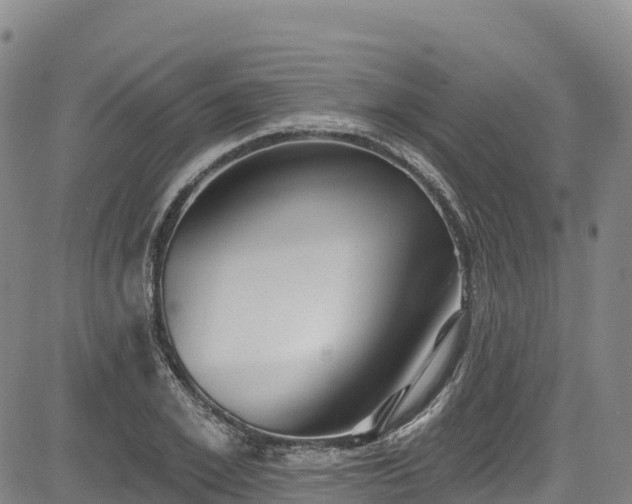 X0000085060981200703121520