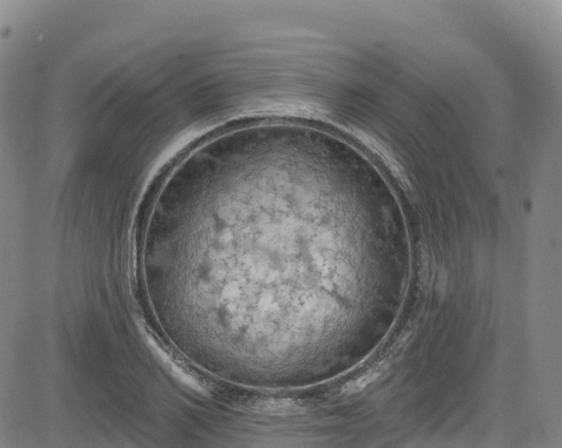 X0000085060982200703121520