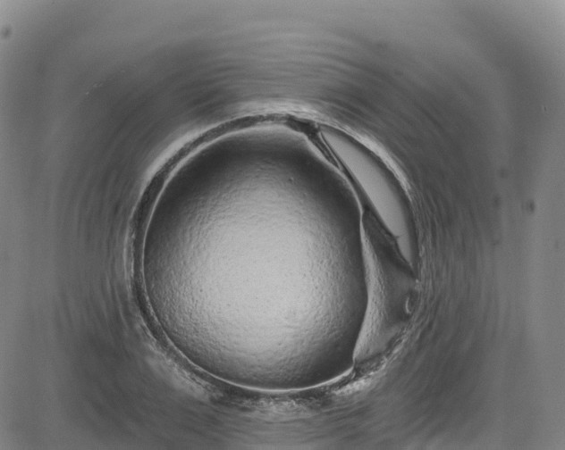 X0000085060983200703121520