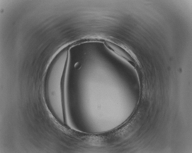 X0000085060984200703121520