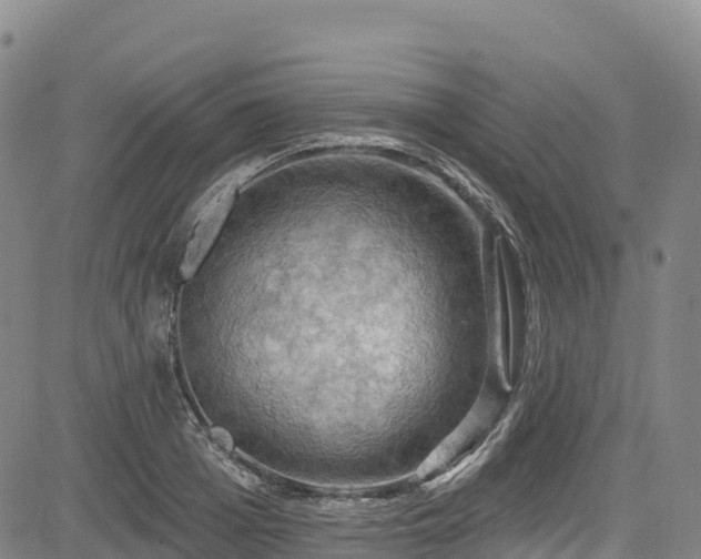 X0000085060985200703121520