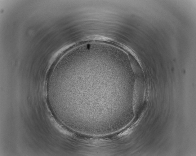 X0000085060987200703121520