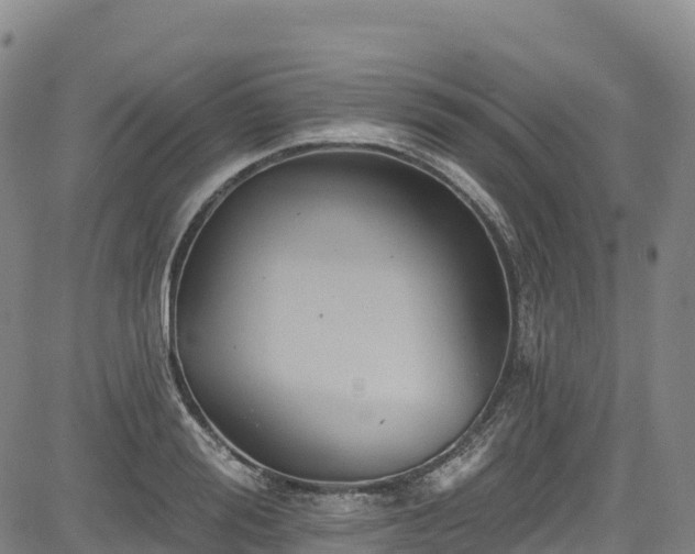 X0000085060988200703121520