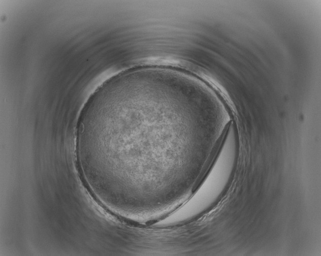 X0000085060992200703121520