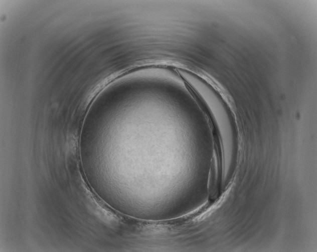 X0000085060993200703121520