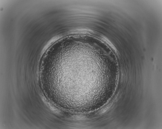 X0000085060994200703121520