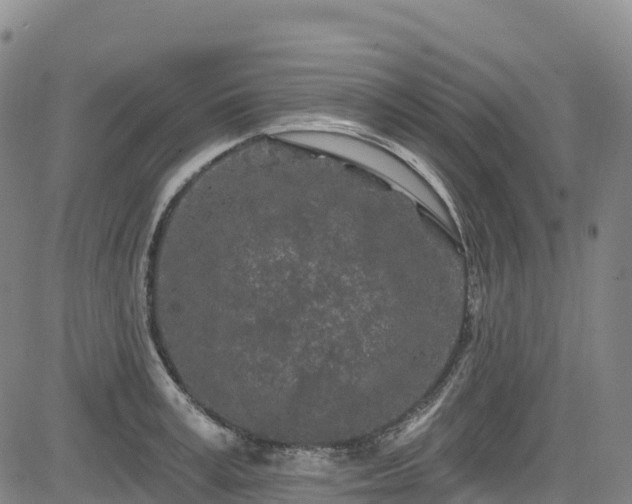 X0000085060995200703121520