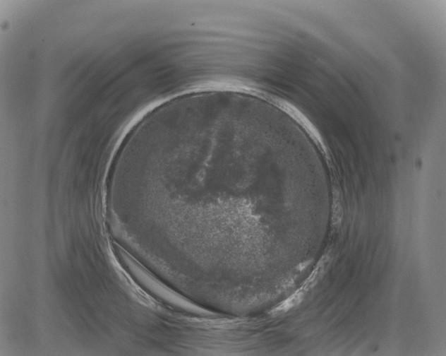 X0000085060996200703121520