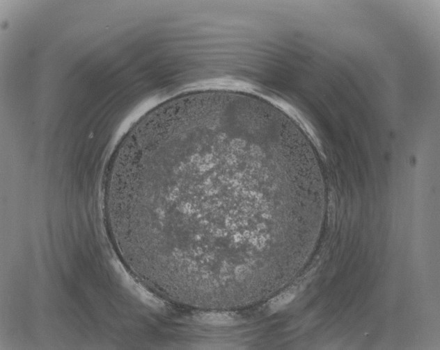 X0000085060998200703121520