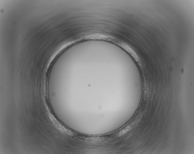 X0000085061000200703121520