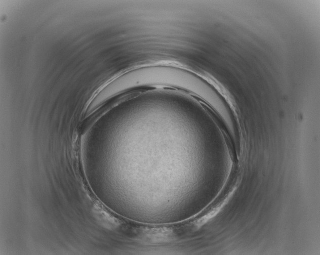 X0000085061001200703121520