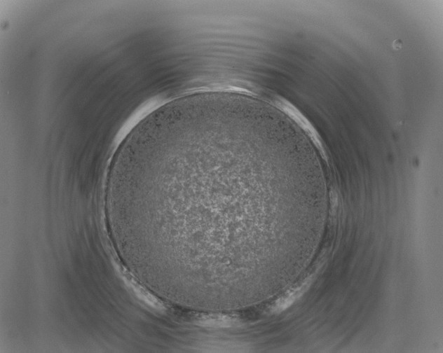 X0000085061002200703121520