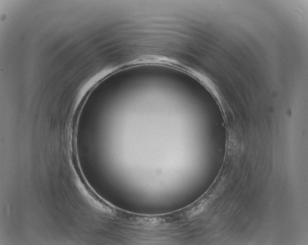 X0000085061003200703121520