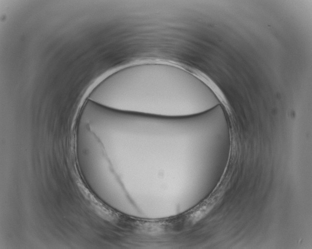 X0000085061004200703121520