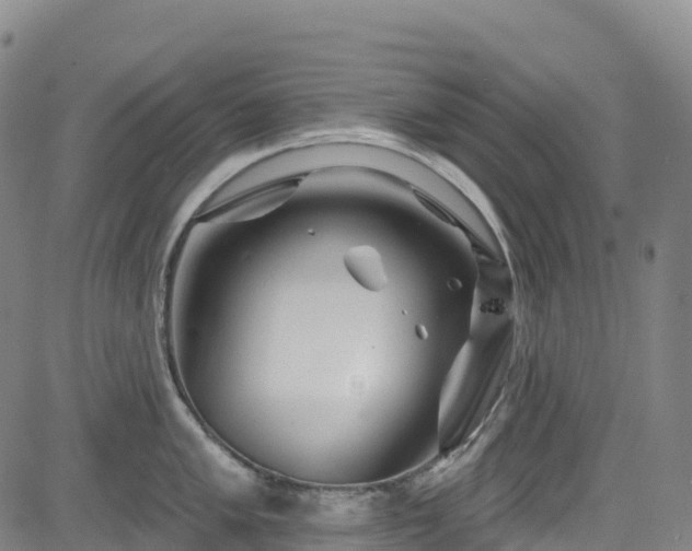 X0000085061005200703121520