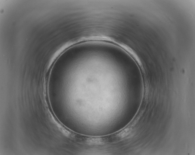 X0000085061006200703121520