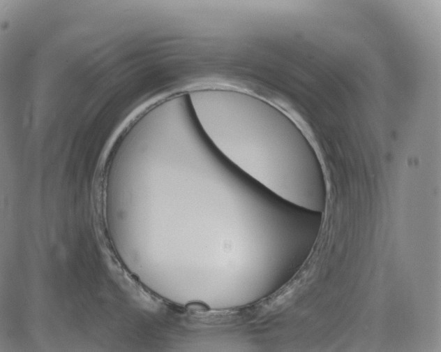 X0000085061008200703121520