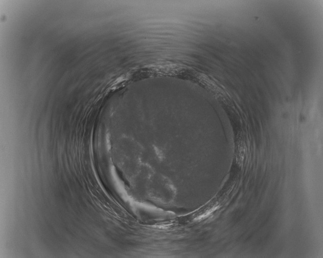 X0000085061010200703121519