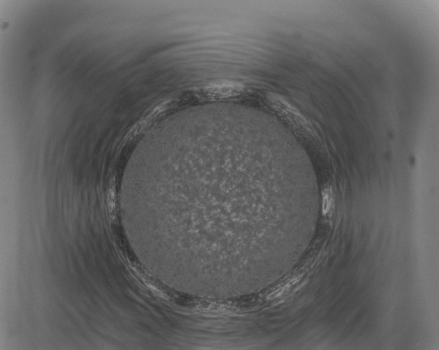 X0000085061011200703121519