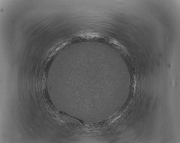 X0000085061014200703121519