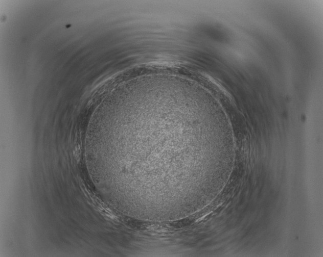 X0000085061015200703121519