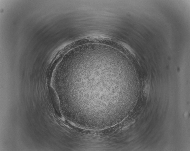 X0000085061016200703121519