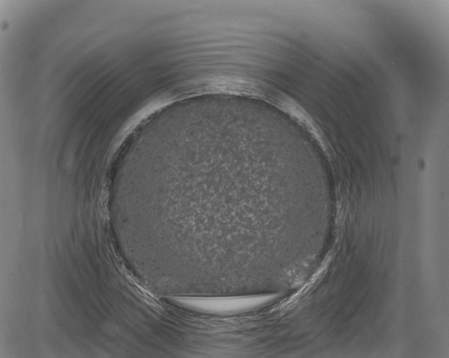 X0000085061019200703121519