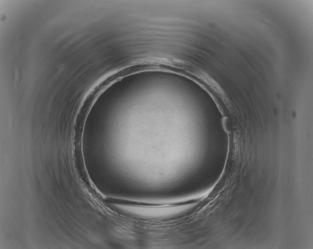 X0000085061020200703121519