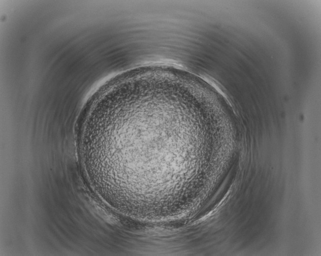 X0000085061022200703121519