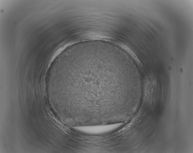 X0000085061023200703121519