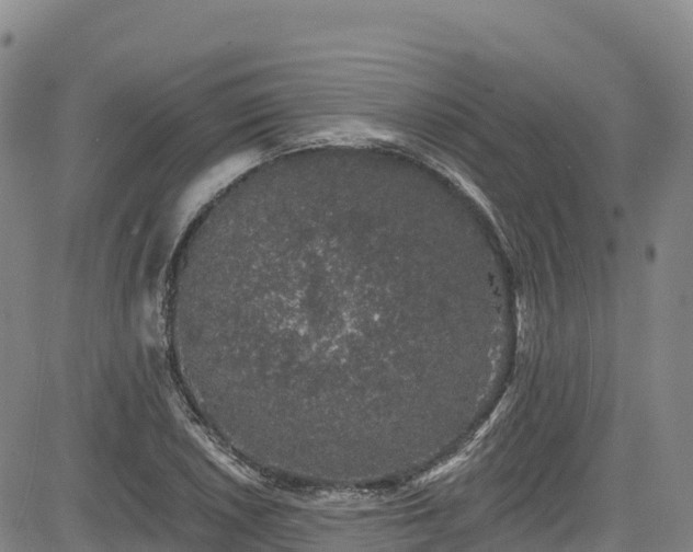 X0000085061026200703121519