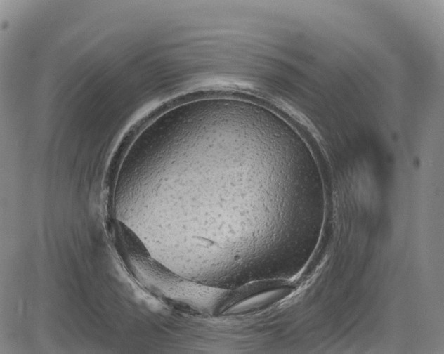 X0000085061029200703121519