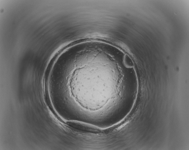 X0000085061032200703121520